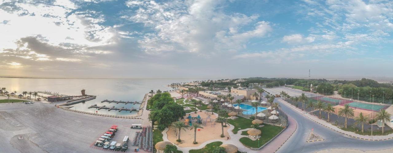 Resort Palm *